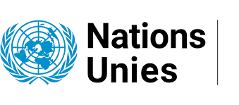 Organisation des Nations unies