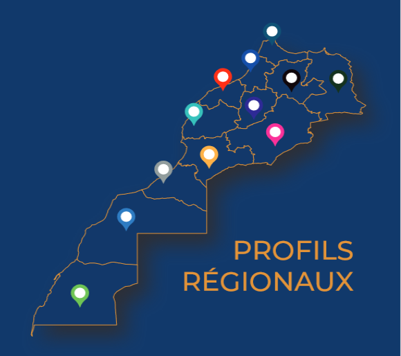 <span>Profils régionaux 2018</span>
