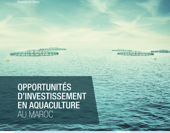 <span>Opportunités d'investissement en aquaculture</span>
