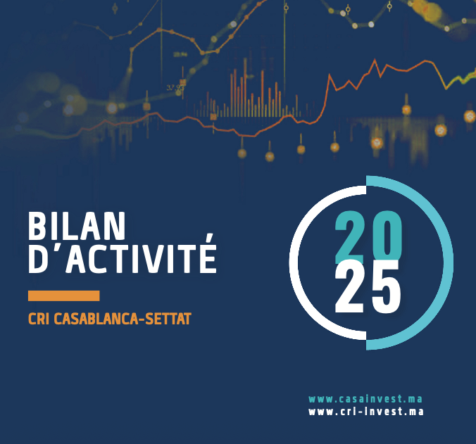 BILAN D'ACTIVITÉS CRICS 2025